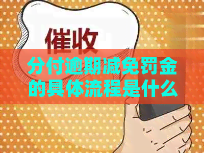 分付逾期减免罚金的具体流程是什么