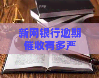 新网银行逾期有多严