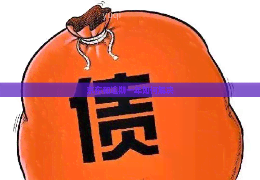 京东和逾期一年如何解决