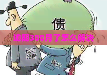 逾期300月了怎么解决
