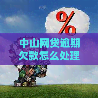 中山网贷逾期欠款怎么处理