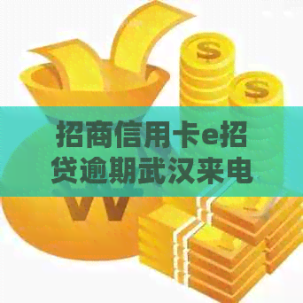 招商信用卡e招贷逾期武汉来电怎么办
