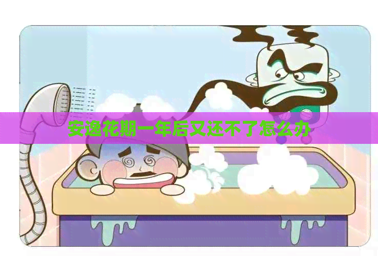 安逸花期一年后又还不了怎么办