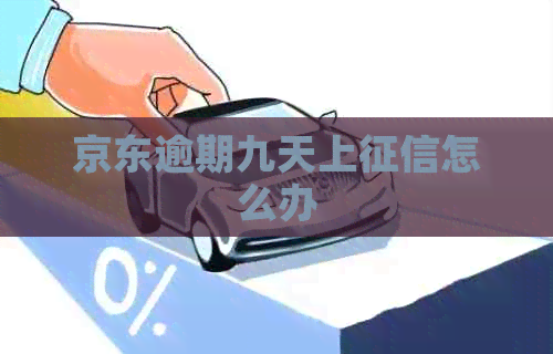 京东逾期九天上怎么办
