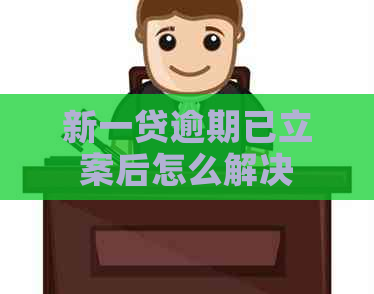 新一贷逾期已立案后怎么解决