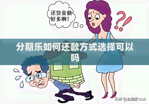 如何还款方式选择可以吗