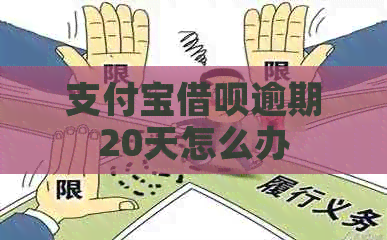 支付宝借呗逾期20天怎么办