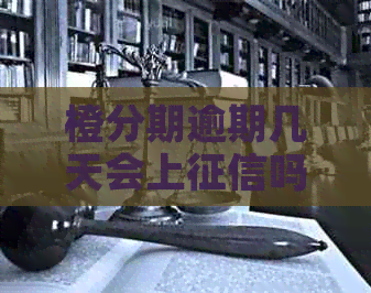 橙分期逾期几天会上吗需要知道吗