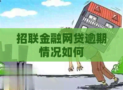 招联金融网贷逾期情况如何