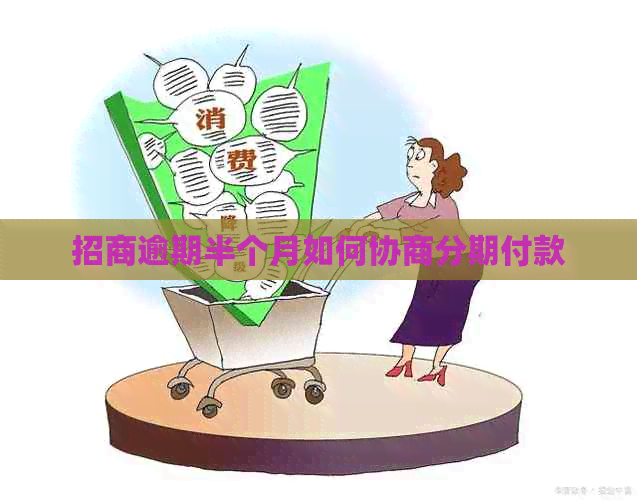 招商逾期半个月如何协商分期付款
