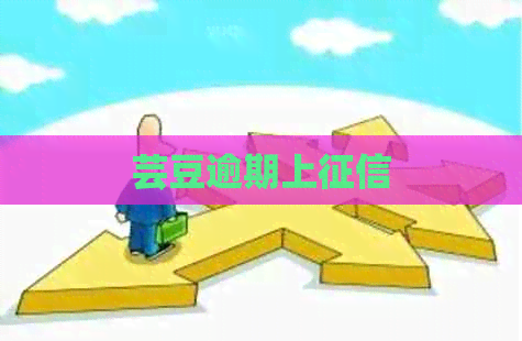 芸豆逾期上