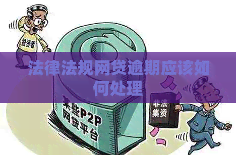 法律法规网贷逾期应该如何处理
