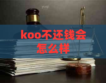 koo不还钱会怎么样