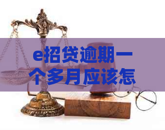 e招贷逾期一个多月应该怎么处理