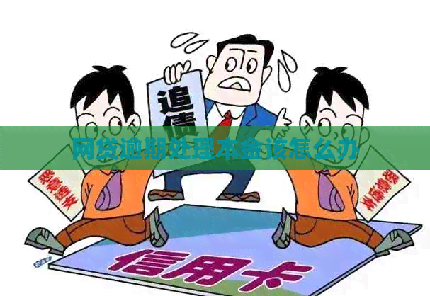 网贷逾期处理本金该怎么办