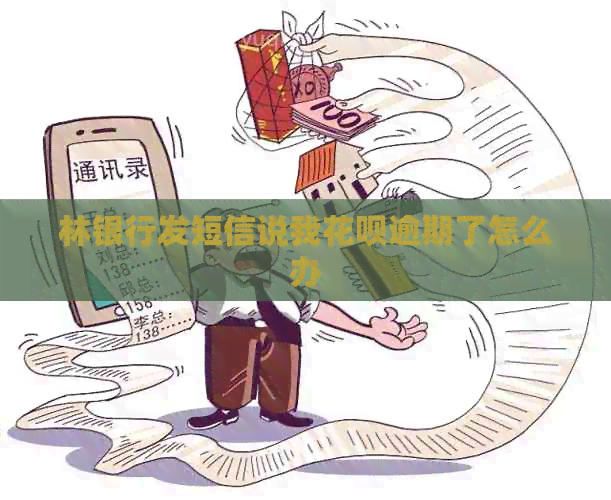 林银行发短信说我花呗逾期了怎么办