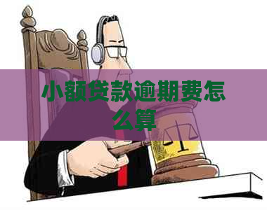 小额贷款逾期费怎么算