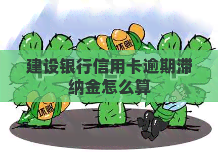 建设银行信用卡逾期滞纳金怎么算