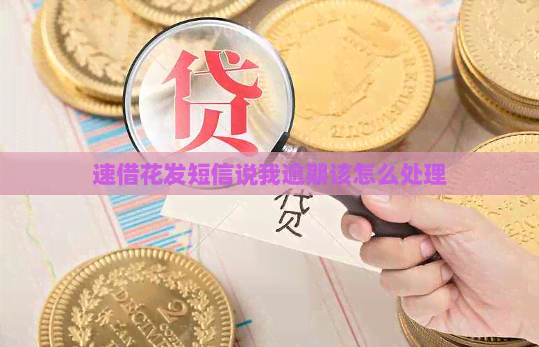 速借花发短信说我逾期该怎么处理
