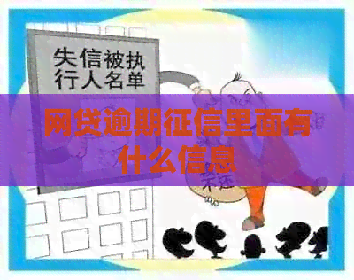 网贷逾期里面有什么信息