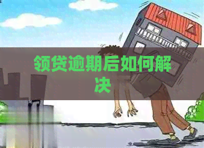 领贷逾期后如何解决