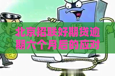 北京招联好期贷逾期六个月后的应对措