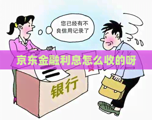 京东金融利息怎么收的呀