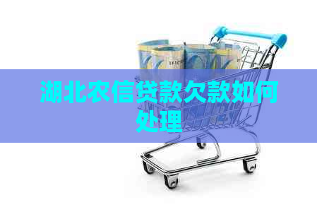 湖北农信贷款欠款如何处理
