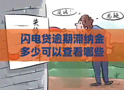 闪电贷逾期滞纳金多少可以查看哪些信息