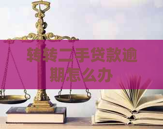 转转二手贷款逾期怎么办