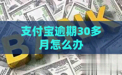 支付宝逾期30多月怎么办