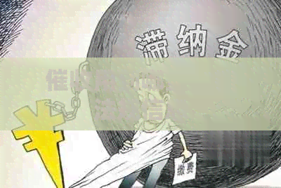 用到哪些法律法规信息