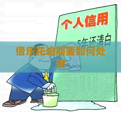 借乐花逾期要如何处理