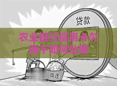 农业银行信用卡欠两千如何处理