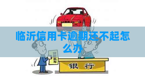 临沂信用卡逾期还不起怎么办