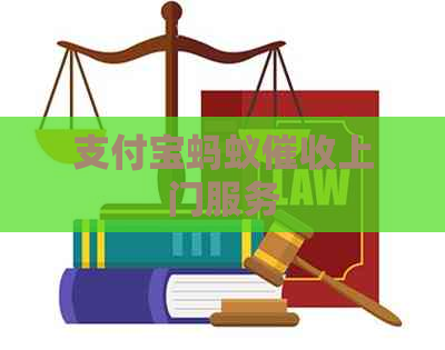 支付宝蚂蚁上门服务