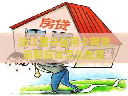 浙江嘉兴信用卡网贷逾期应该怎么处理