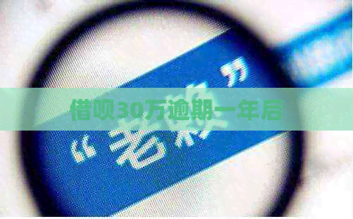 借呗30万逾期一年后