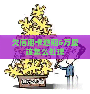 欠信用卡逾期6万应该怎么处理