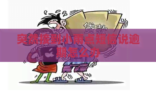 突然接到小雨点短信说逾期怎么办