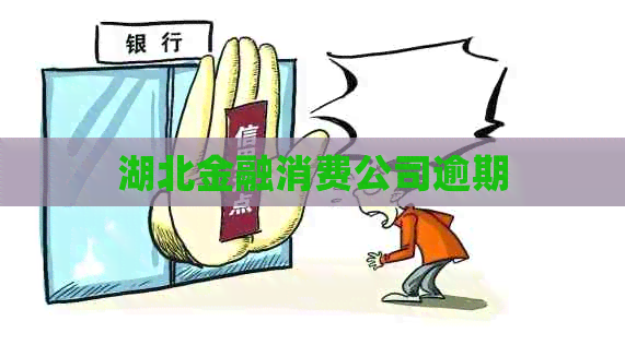湖北金融消费公司逾期