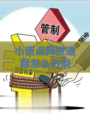 小雨点网贷逾期怎么办啊