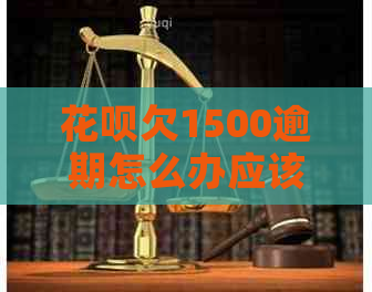 花呗欠1500逾期怎么办应该如何解决