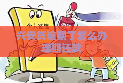 兴安贷逾期了怎么办理期还款