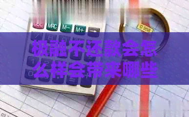 极融不还款会怎么样会带来哪些后果