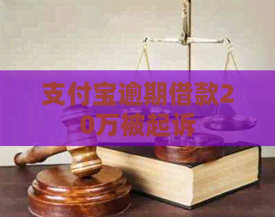 支付宝逾期借款20万被起诉