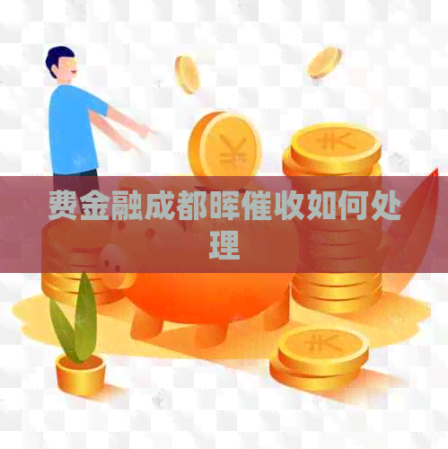 费金融成都晖如何处理