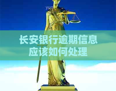 长安银行逾期信息应该如何处理