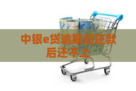 中银e贷逾期后还款后还不上
