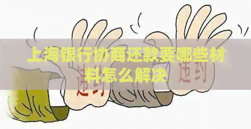 上海银行协商还款要哪些材料怎么解决